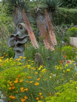 The Dry garden at East Ruston Old Vicarage, Norfolk with  Eschscholtzia californica