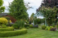 Clipped Buxus hedging and balls with perennial planting of borders, pink Roses on arch and mature trees - Open Gardens Day, Tuddenham, Suffolk