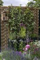 A willow and hazel fencing screen supports fragrant star jasmine, Trachelospermum jasminoides, which grows in a tall planter with herbs. Planted in the bed below are roses and herbaceous perennials.