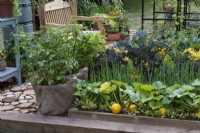 A small vegetable plot is planted with rows of Courgette 'One Ball', spring onions, kale, cabbages and marigolds. A path made from tree slices leads behind the raised bed, past a water storage tank and a bench. A container of potatoes is wrapped in sack cloth.