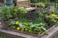 A small vegetable plot is planted with rows of Courgette 'One Ball', spring onions, kale, cabbages and marigolds is overlooked by a wooden bench. Left: containers of potatoes are wrapped in sack cloth.