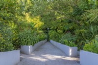 View of a formal contemporary designer exotics garden in Summer - July