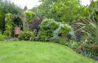 Lawn and border of contrasting shrubs and perennials in small garden with pergola and deck chair