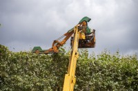 Garden maintenance.
Coup'eco remote controlled hedge trimmer levels out the growth at the top of a row of trees in Jardin des Plantes, Paris, France. 