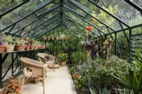 Greenhouse full of exotic plants including succulents, cacti and begonias in July