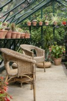 Wicker seats in a greenhouse full of exotic plants including succulents, cacti and begonias in July