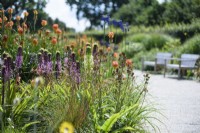The South African Meadow at RHS Wisley in August