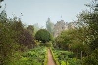 A path through the June borders to the dome shaped  Prunus lusitanica - Portuguese Laurel with Crathes Castle in the background.