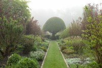 A grass path through the double White Borders leading to the dome shaped  Prunus lusitanica - Portuguese Laurel tree in the centre.