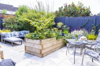 Raised wooden bed planted with Hellebores and Hamamelis 'Jelena' - Hazel with sofa behind and a table and chairs in front on patio