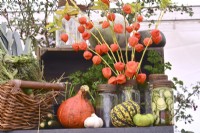 Display of harvested produce, including mixed winter squash, Chinese lanterns and jars of pickled veg.