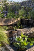 Tiers of ponds edged with wooden sleepers, growing in the water, Pontederia cordata. Behind the pools is a herbaceous border with Echinacea 'White Swan' and Achillea sp. in the Nurturing Nature in the City, Designed by Caroline  and  Peter Clayton.