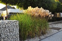 Autumnal miscanthus in gravel bed in front of the gabion fence.