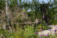 A froth of Deschampsia cespitosa 'Bronzeschleier' surrounded Origanum sp.,  Verbena rigida and Campanula 'Kent Belle in the  RHS Wildlife Garden, Designed by: Jo Thompson  and  Kate Bradbury.
