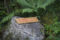 Carved inscription in oak indicating possible location of a well in the garden. June. Summer