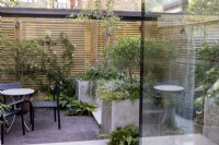 Courtyard garden with seating area with raised beds and contemporary wood boundary fence.