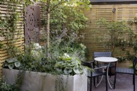 Courtyard garden with seating area screened by a raised bed and contemporary wood boundary fence. Raised bed contains a young tree underplanted with perennials such as Brunnera and Verbena bonariensis.