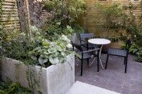 Courtyard garden with seating area and Verbena bonariensis and Brunnera 'Alexandra's Great' in raised bed. Enclosed by contemporary wooden fencing
