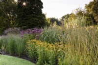 Border of ornamental grasses and herbaceous perennials in August including Rudbeckia fulgida var. deamii and eupatoriums
