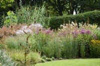Border of ornamental grasses and herbaceous perennials including eupatoriums, Rudbeckia fulgida var. deammii and silvery Miscanthus sinensis 'Memory' in August