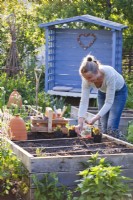 Woman sowing lettuce in raised bed.