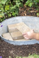 Woman placing bricks in the large basin to allow any animals that fall in a way out