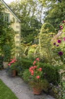 Terracotta pots of colourful annuals and tender perennials in a country garden in August