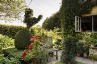 Terracotta pot of colourful annuals and tender perennials in a country garden in August beside a wooden seat and framed by yew and box topiary