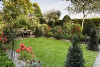 Lawn in a country garden in August framed by four clipped yew pyramids and containers of colourful flowering plants
