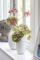 Hydrangea flower heads displayed in white artisan pottery vases on windowsill