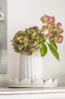 Hydrangea flower heads displayed in a white artisan pottery vase