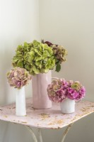 Hydrangea displayed in white and pink pottery vases on pink distressed table