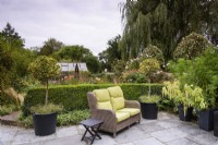 Seating area on a terrace in September including standard variegated hollies in containers