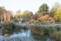 Natural swimming pool surrounded by sunlit trees and ornamental grasses in frost.