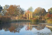 Reflections in a natural swimming pool with millstone water feature, surrounded by autumnal coloured trees and ornamental grasses, such as Molinia arundinacea 'Karl Foerster'.