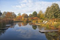 Reflections in a natural swimming pool with diving platform and seating area, surrounded by autumnal coloured trees and ornamental grasses.