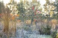 Rustic coppiced ash gazebo surrounded by ornamental grasses and perennials covered in frost