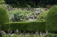 Views across garden with National Collection rambler roses and clipped hedges at Moor Wood, Gloucestershire
