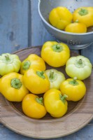 Sweet Pepper 'Jablina F1'. Harvested yellow fruits on a wooden dish. September.