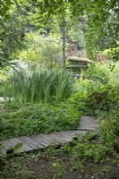 Wooden pathway through shrubbery at Birmingham Botanical Gardens and Glasshouses, June