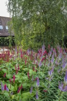 Border of Perscaria amplexicaulis 'Firetail' and Veronicastrum Virginicum 'Fascination' with terrace and barn in background