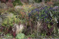 Informal overflowing autumnal borders with grasses and perennials