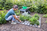 Woman placing granite setts by plants to be used as labels