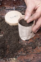 Sowing seed into biodegradable plant pots made with old newspaper