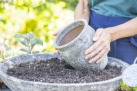 Woman placing pot in container of compost