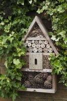 Bug hotel with Ivy