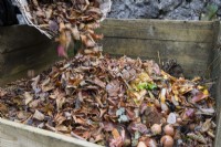 Tipping a basket of autumn leaves into a mixed compost including kitchen waste.