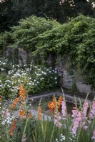 Small formal pond, surrounded with gladioli and other cutting plants