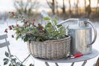 Frosted winter display of cut evergreen holly and yew foliage with rose hips in wicker basket on metal bistro table. Felco secateurs and galvanised metal watering can. Photographed in a snowcovered landscape.