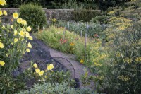 Cutting garden plants including alstroemerias, sunflowers, fennel and evening primrose, in large wall kitchen garden